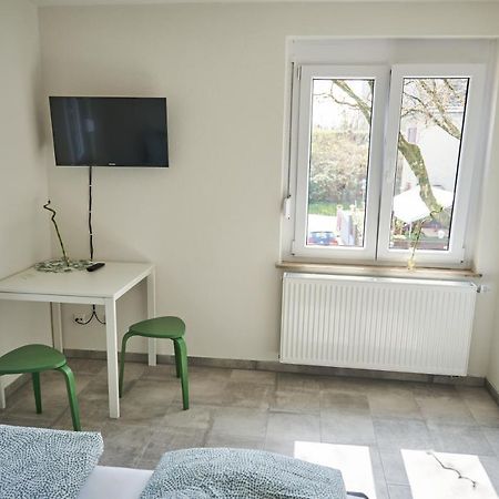 Greenhome Loerrach -Ihre Unterkunft Im 3-Laendereck- Exteriér fotografie