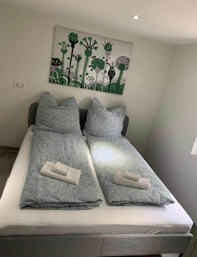 Greenhome Loerrach -Ihre Unterkunft Im 3-Laendereck- Pokoj fotografie