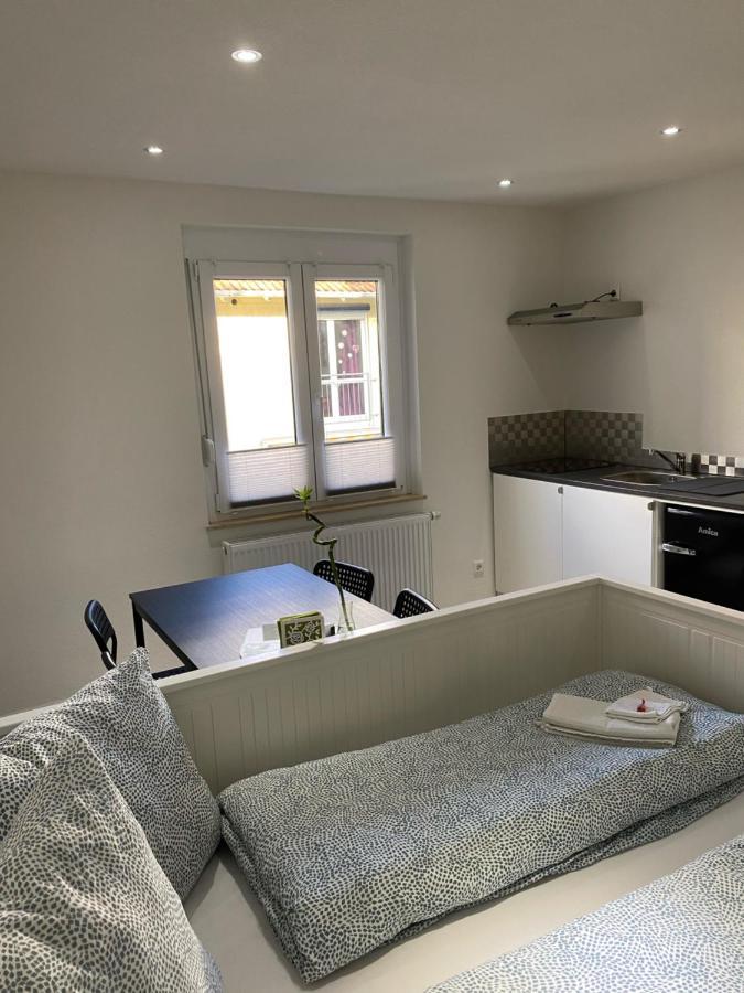 Greenhome Loerrach -Ihre Unterkunft Im 3-Laendereck- Exteriér fotografie